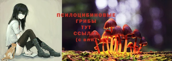 бошки Беломорск