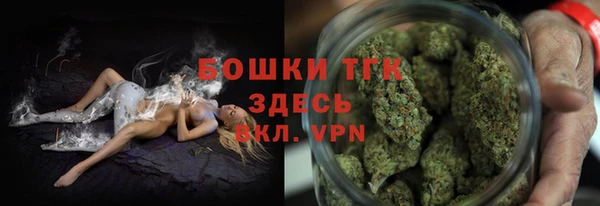 бошки Белокуриха
