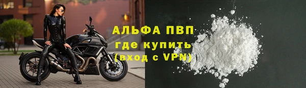 бошки Белокуриха