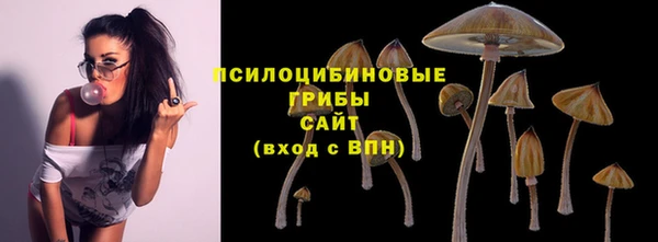бошки Белокуриха