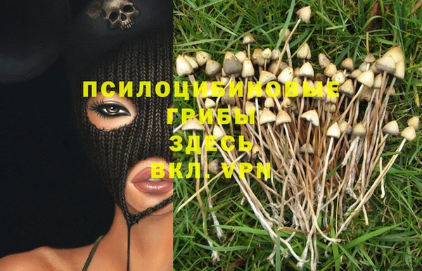 бошки Белокуриха