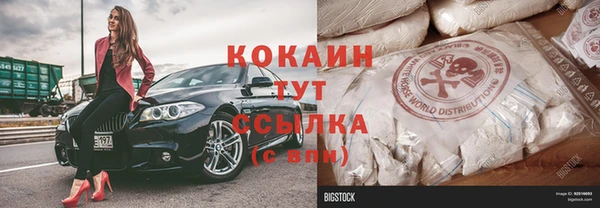 бошки Белокуриха