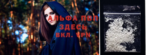 бошки Белокуриха