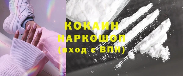 бошки Белокуриха